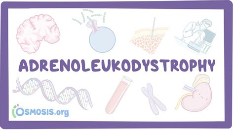 Adrenoleukodystrophy Nord Video Causes And Meaning Osmosis