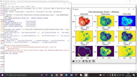 Klasifikasi Kematangan Citra Buah Tomat Berdasarkan Ekstraksi Fitur