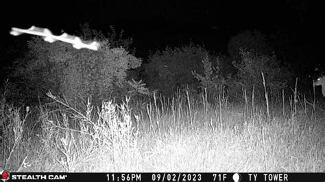 Can Anyone Tell Me What These Strange Things Are Flying In The Night On My Trail Cams R Trailcam