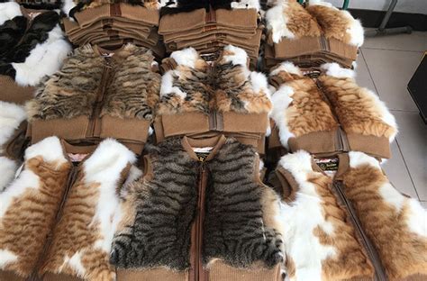 Online Store Offers Cat Fur Vests For Ladies Fashion Wtf Gallery Ebaum S World