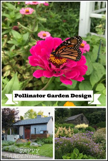 Pollinator Garden Design: Ideas for attracting bees, butterflies, and birds