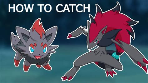 How to catch Zorua in Pokemon Go