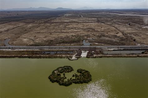 Rescatar El Lago De Texcoco Garantizará Un Futuro Con Agua A La Ciudad