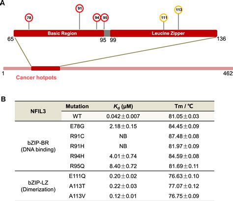 Figure From Structural Basis For Specific Dna Sequence Recognition By