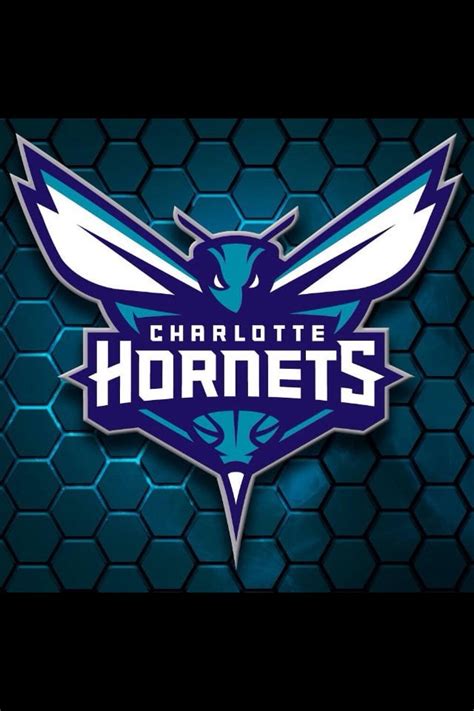 Hornets new logo : r/sports