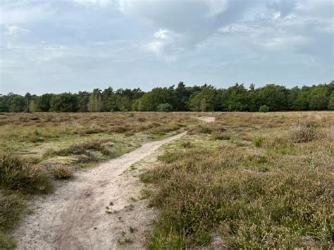 Wandelroute Ommetje Gijzenrooi Geldrop Te Noord Brabant