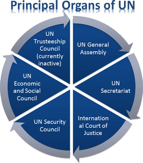 Organs Of The United Nations Un Diagram Quizlet