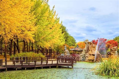 Du lịch mùa Thu Tour Hàn Quốc Seoul Everland Đảo Nami Tháp