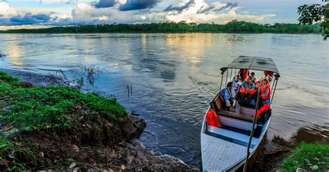 From Iquitos 4 Day Pacaya Samiria National Reserve Tour GetYourGuide