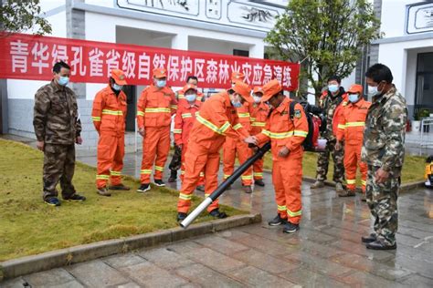 守好一片森林 护住一方生灵——青华绿孔雀省级自然保护区管护局开展森林火灾应急演练澎湃号·政务澎湃新闻 The Paper