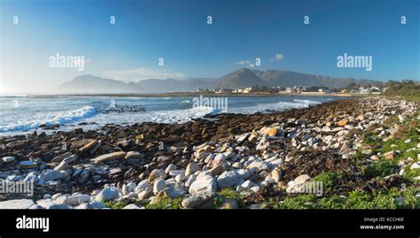 Kommetjie beach, Cape Town, Western Cape, South Africa Stock Photo - Alamy