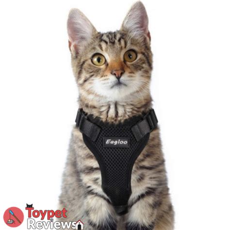 7 Best Cat Harness Picks For Safe Walks Best Cat Harness Cat Harness