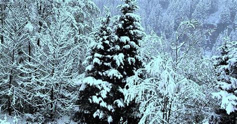 Wieder Winter in Bad Gastein Schöne Heimat Fotoblog SN at