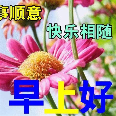 8月17日最新早上好祝福动态表情图片大全，早上好问候语句子！ 人生 心态 朋友