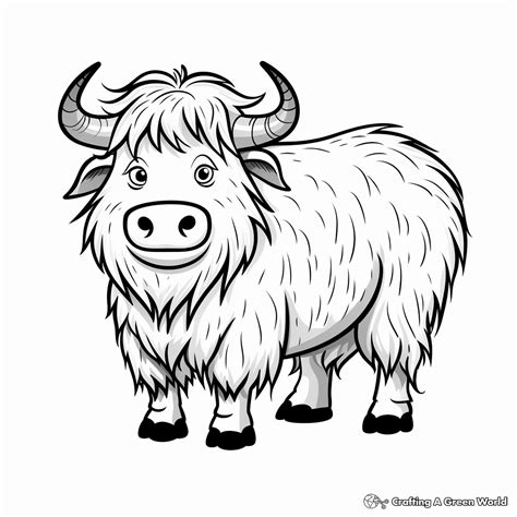 Yak Coloring Pages Free And Printable