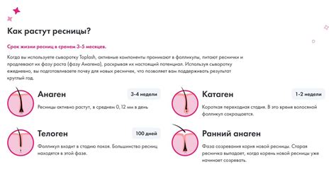 Сыворотка для роста ресниц и бровей Toplash 1,5 мл. Lash and Brow ...