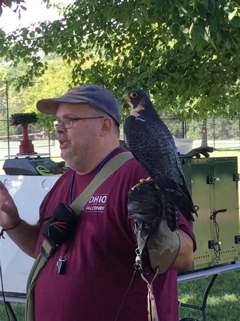 My Introduction into the Ancient Sport of Falconry – Mamal Diane