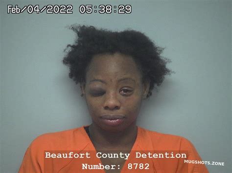 Michele Denise Collins 02 04 2022 Beaufort County Mugshots Zone