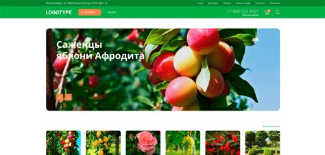 Декоративные кустарники | Интернет магазин саженцев