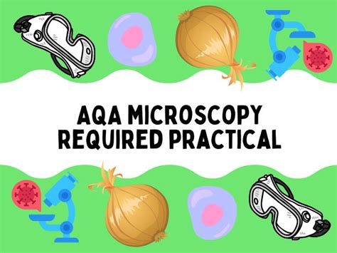 AQA Biology Required Practical Microscopy Teaching Resources