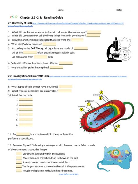 Ch 21 24 Ck 12 Reading Guide Cells Pdf Cell Biology Chloroplast