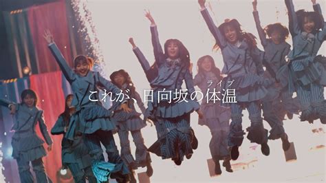 日向坂46 2ndアルバム「脈打つ感情」トレーラー Video 日向坂46公式サイト