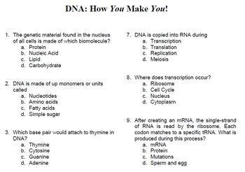 How You Make You DNA Protein Synthesis Multiple Choice Exam W Extension