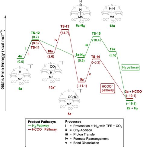 Scheme Dft Calculated Energy Profile Starting From A To Form H