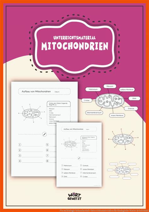 Kologische Nische Arbeitsblatt Biologie Arbeitsbl Tter