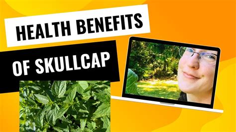 Surprising Health Benefits Of Skullcap Youtube