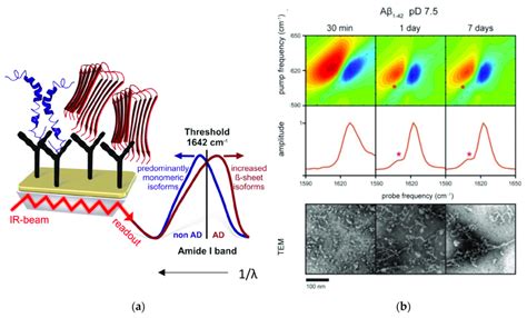 A Schematic Overview Of The Immuno Infrared Sensor If The Marker