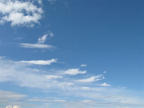 Eryq: The Fable of the Stork: 2009 Mother’s Day card 