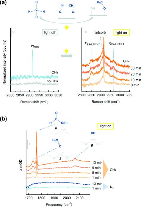 In Situ Raman And Ftir Detection Of Key Reaction Intermediates A In