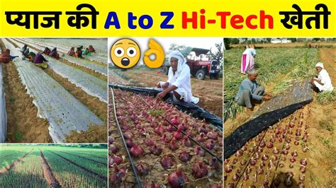 Pyaj ki kheti पयज क खत Onion farming A to Z जनकर pyaj ki