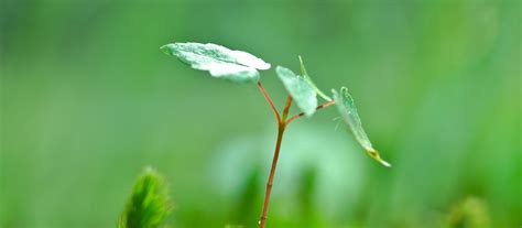 Agro'Innov | LinkedIn