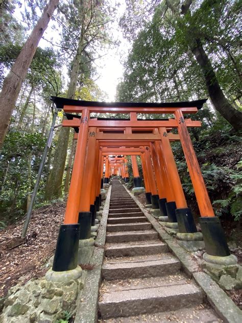 東山・清水山・清閑寺山・今熊野山・稲荷山 Kusadaniさんの京都一周トレイルの活動データ Yamap ヤマップ