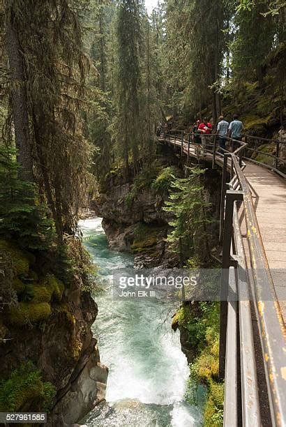 214 Bow River Pathway Stock Photos, High-Res Pictures, and Images ...