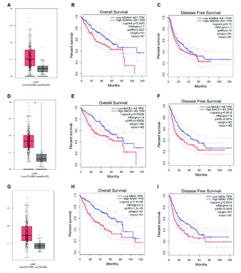 Evaluating Three Of The Four M6a Related Lncrnas In The Gepia