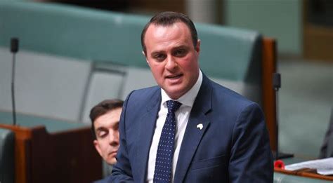 Liberal Mp Tim Wilson Proposes To Partner In Parliament During Same Sex