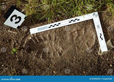 Footprint On Crime Scene Royalty-Free Stock Image | CartoonDealer.com ...