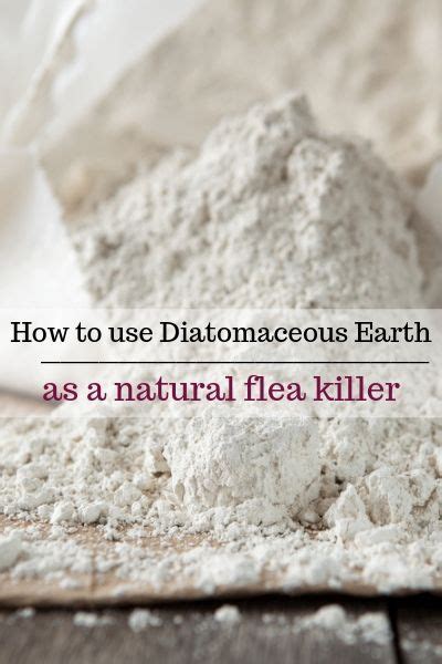 Food grade diatomaceous earth is an all natural flea killer. When applied to your yard, garden ...