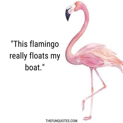 Flamingo Sayings and Flamingo Quotes With Images - THEFUNQUOTES