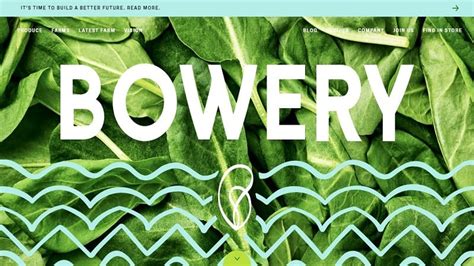 Bowery Farming Raises $300M in Series C | citybiz