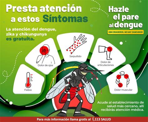 Dengue En Perú Recomendaciones Y Lo Que Debes Hacer Para Prevenir El