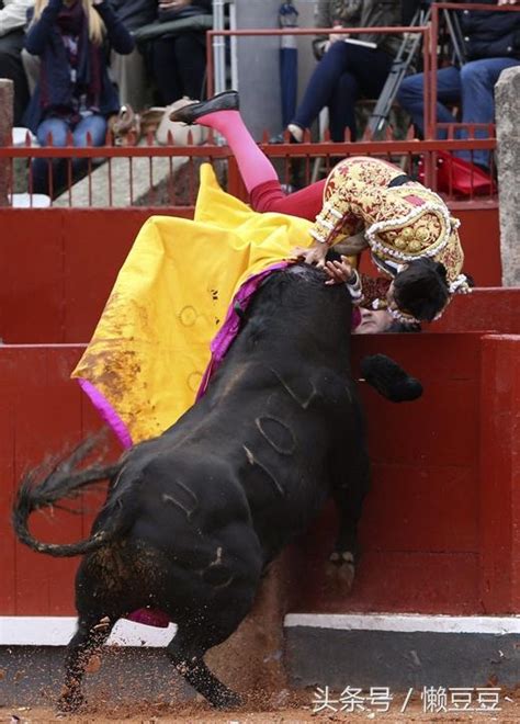 实拍西班牙斗牛士被公牛顶飞的残忍瞬间 每日头条