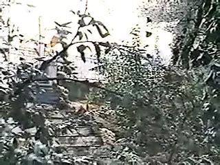 Greek Porn S S Skypse Eylogimeni Vintage Porn Xhamster