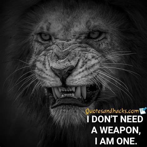 50 Best Lion Quotes