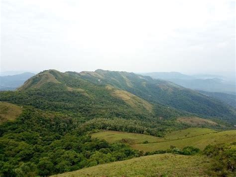 Climb Mullayanagiri Peak | Chikmagalur - What to Expect | Timings ...