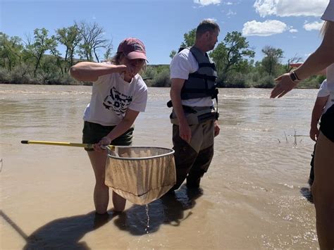 Colorado River endangered fish recovery sees some success: Enough water ...