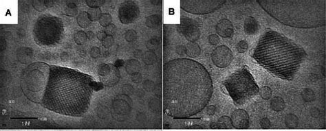 Cryo Tem Micrographs Of Monoglyceride Based Dispersions Composed Of A